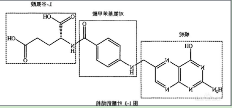 阿奇霉素-聚乙二醇-叶酸 