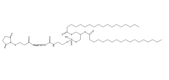 DSPE-PEG2000-NHS，DSPE-PEG(2000) succimide，二硬脂酰磷脂酰乙酰胺-N-羟基丁二酰亚胺-聚乙二醇2000
