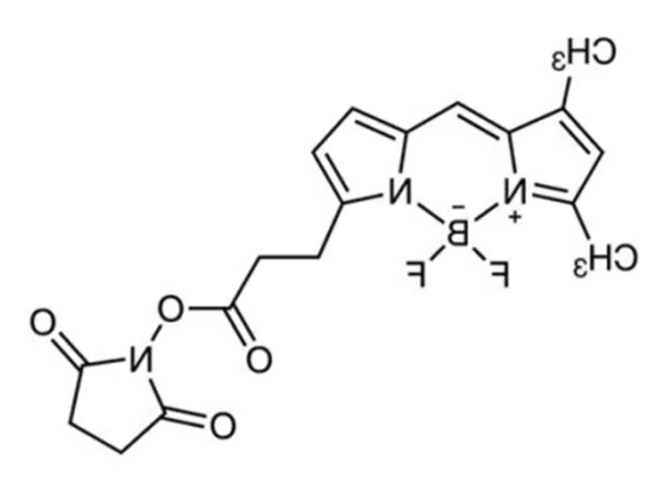 146616-66-2，BDP FL NHS ester，BDP FL NHS荧光素的替代品，一种用于488 nm通道的**染料
