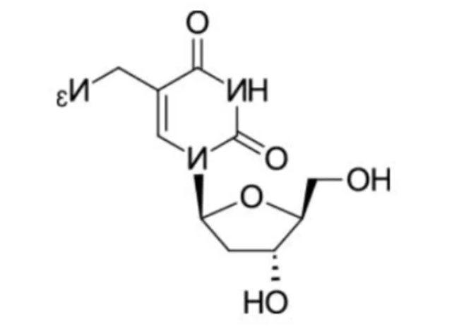 AmdU (5-azidomethyl-2'-deoxyuridine)，叠氮甲基dU（AmdU）是一种含有叠氮基团的核苷