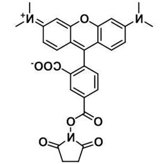 321862-17-3，TAMRA-NHS，5-TAMRA NHS ester，5-羧基四甲基罗丹明，一种明亮的橙色荧光染料