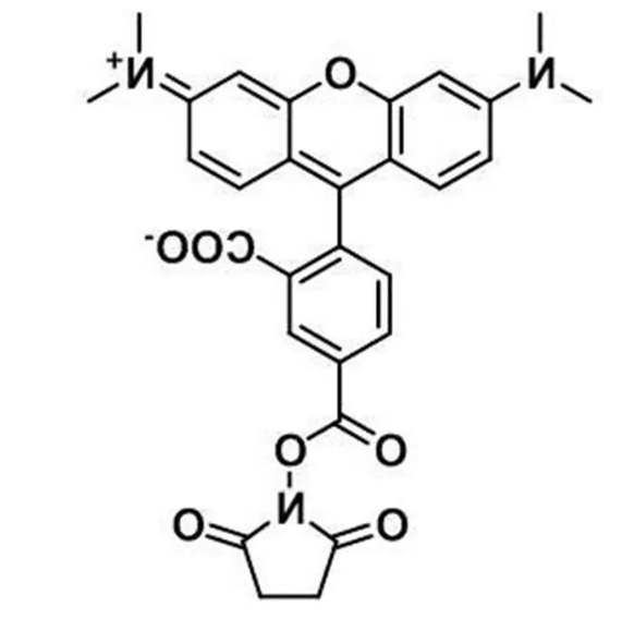 Biotion-PEG-Mal