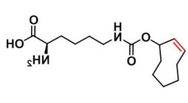 cas:1580501-94-5,N-(2E)-TCO-L-lysine,分子量,分子式,纯度 介绍--西安球赛在线直播平台
生物 cas:1580501-94-5,N-(2E)-TCO-L-lysine,分子量,分子式,纯度 介绍--西安球赛在线直播平台
生物