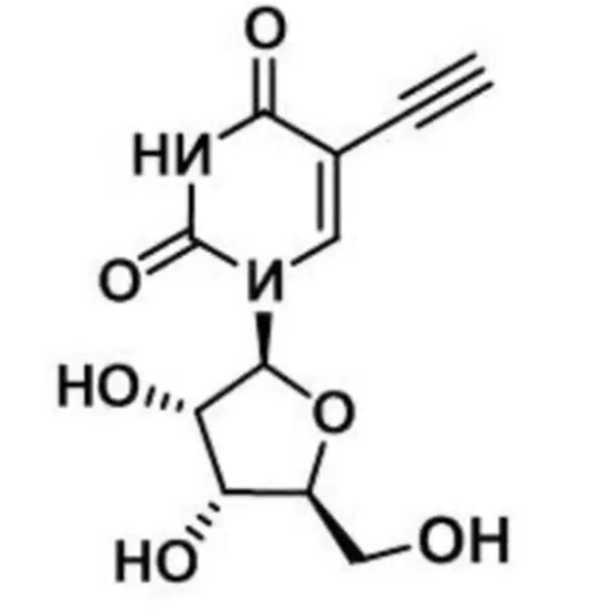cas:69075-42-9，5-Ethynyl uridine，5-乙炔基尿苷，分子式以及分子量简介
