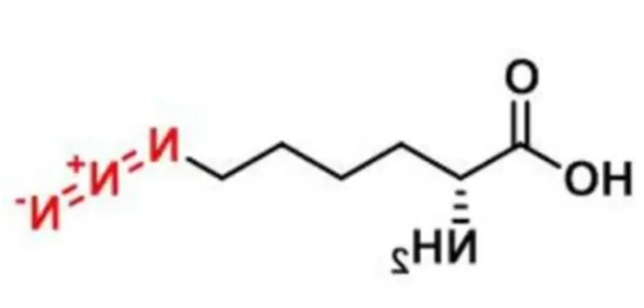 叠氮修饰亮氨酸，H-L-Lys(N3)-OH·HCl，cas:159610-92-1，6-azido-L-norleucine