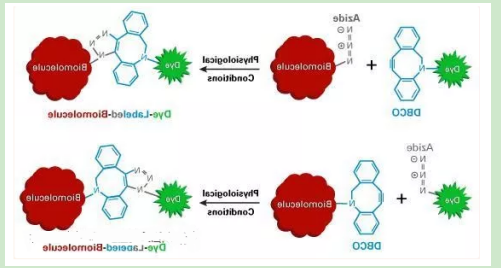 sulfadimethoxine-PEG-DBCO