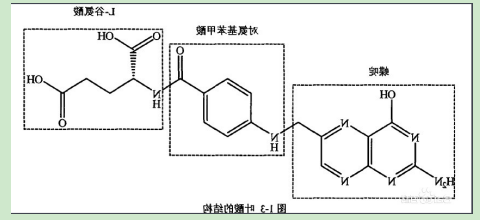 茴香酰胺-聚乙二醇-叶酸 