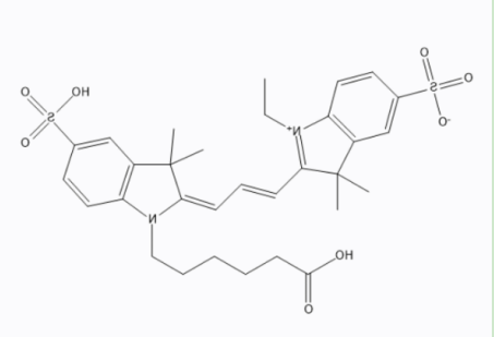 茴香酰胺-聚乙二醇-CY3 