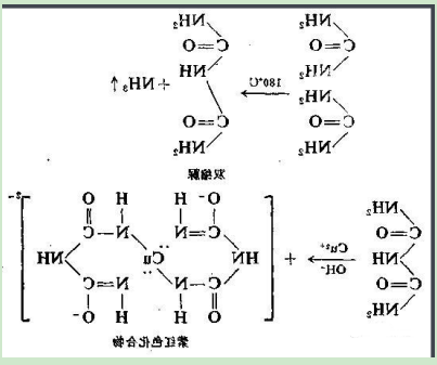 anisamide-PEG2000-Ovalbumin