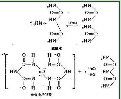奥司他韦-聚乙二醇-卵清蛋白 