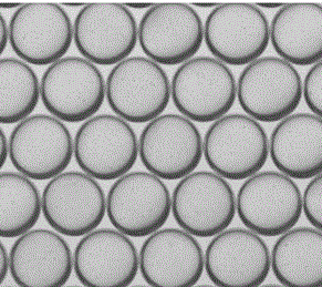 橙色荧光聚苯乙烯微球 1μm，Orange fluorescent polystyrene microsphere 1 μ m
