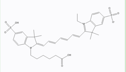 姜黄素-聚乙二醇-CY7