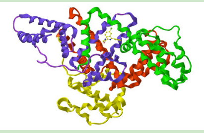 Curcumin-PEG-HAS