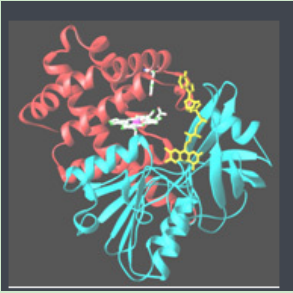Curcumin-PEG-Catalase