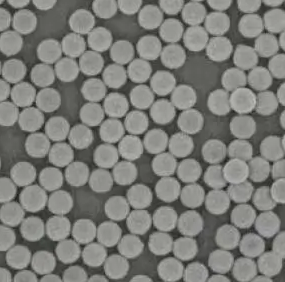 亲和素磁珠（1 um），Avidin magnetic beads (1 um)