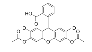 CAS：4091-99-0 H2DCFDA