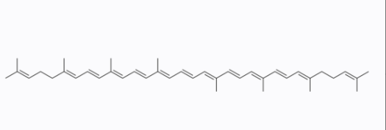 Lycopene 番茄红素 