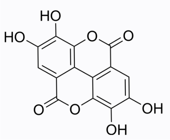 Ellagic acid 鞣花酸