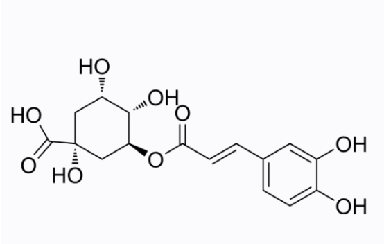 Chlorogenic acid 绿原酸 Chlorogenic acid 绿原酸