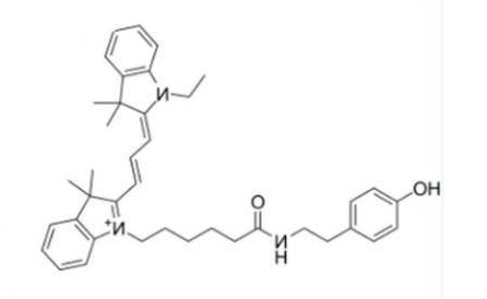 Tyramide-Cy3 