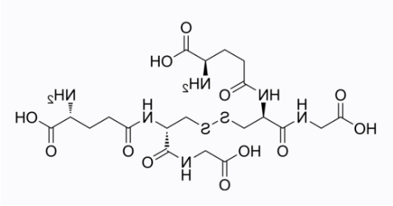 cas:27025-41-8 Glutathione oxidized