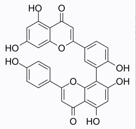 cas:1617-53-4 Amentoflavone