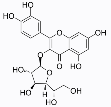 cas:21637-25-2 Isoquercitrin 
