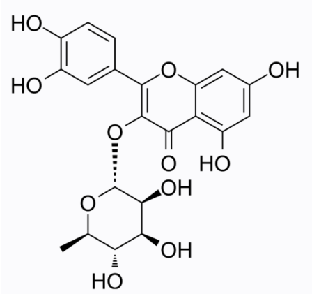 cas:522-12-3 Quercitrin 槲皮苷