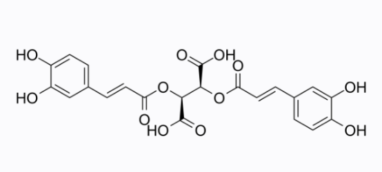 cas:6537-80-0 Chicoric acid 菊苣酸 