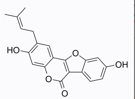 cas:18642-23-4 Psoralidin 