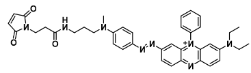 BHQ-3 Mal，外观：深紫色粉末  分子式：C39H41N8O3+  分子量：669.81