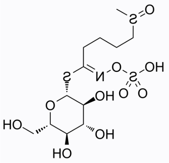cas:21414-41-5 Glucoraphanin cas:21414-41-5 Glucoraphanin