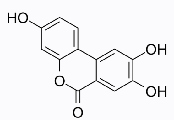 cas:165393-06-6 Urolithin cas:165393-06-6 Urolithin