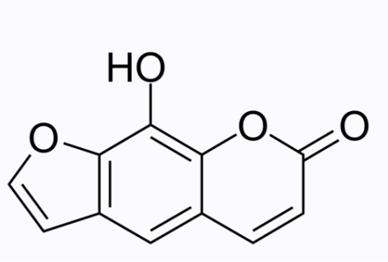 cas:2009-24-7 Xanthotoxol cas:2009-24-7 Xanthotoxol