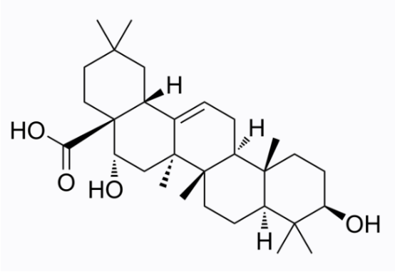 cas:510-30-5 Echinocystic acid
