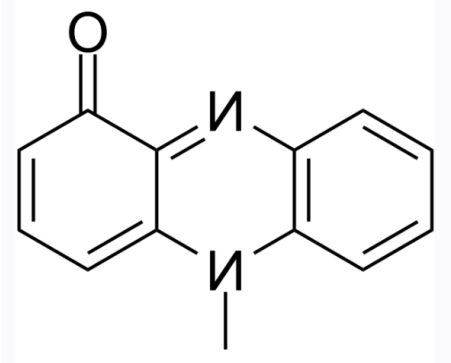 cas:85-66-5 Pyocyanin