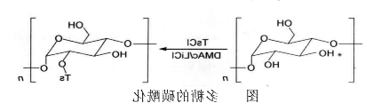多糖的磺既化 多糖的磺既化