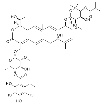 	fidaxomicin 