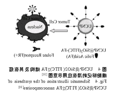 稀土掺杂上转换氟化物纳米材料
