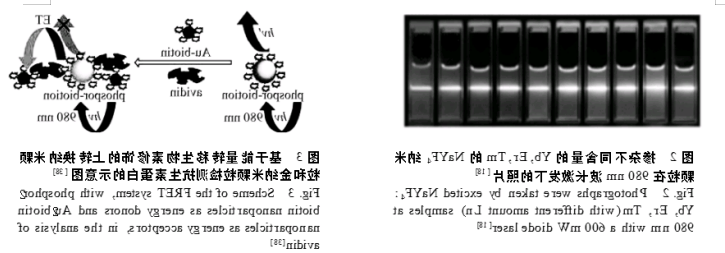稀土掺杂上转换氟化物纳米材料
