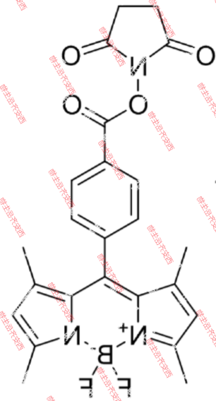 BODIPY  493/503 NHS