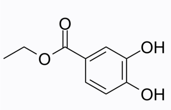 cas:3943-89-3 Ethyl 3,4-dihydroxybenzoate cas:3943-89-3 Ethyl 3,4-dihydroxybenzoate