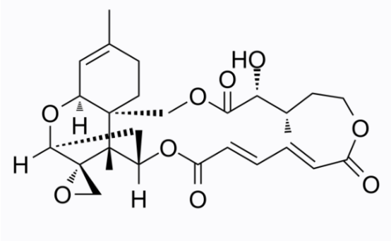 cas:3148-9-2 Verrucarin A 