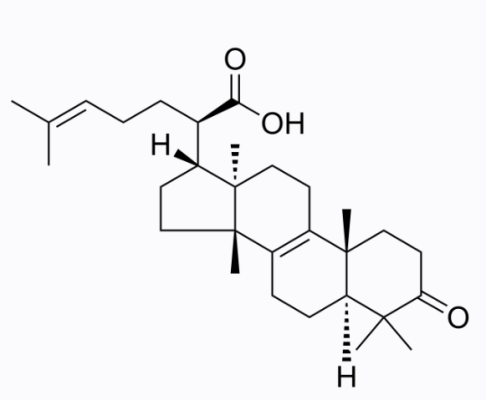 cas:28282-25-9 β-Elemonic acid cas:28282-25-9 β-Elemonic acid
