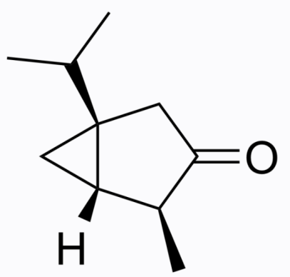 cas:546-80-5 α-Thujone