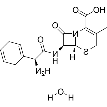 Cephradine (monohydrate) Cephradine (monohydrate)