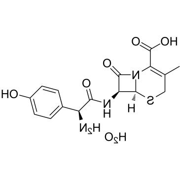 cefadroxil monohydrate 