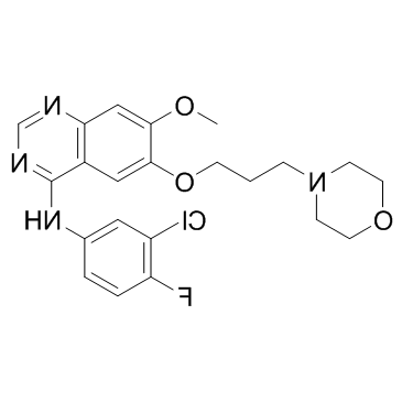 Gefitinib Gefitinib