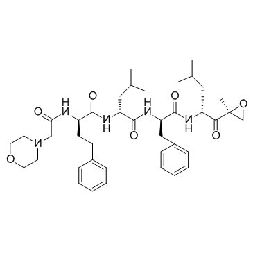 Carfilzomib Carfilzomib