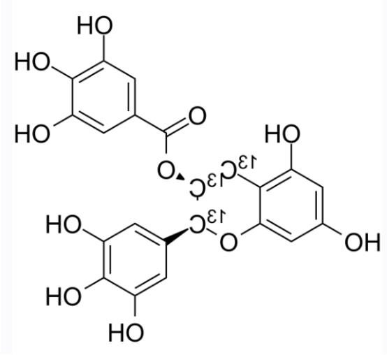 (+/-)-Epigallocatechin Gallate-13C3 